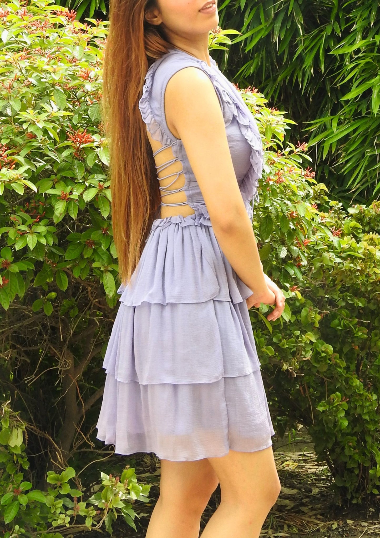 Wisteria